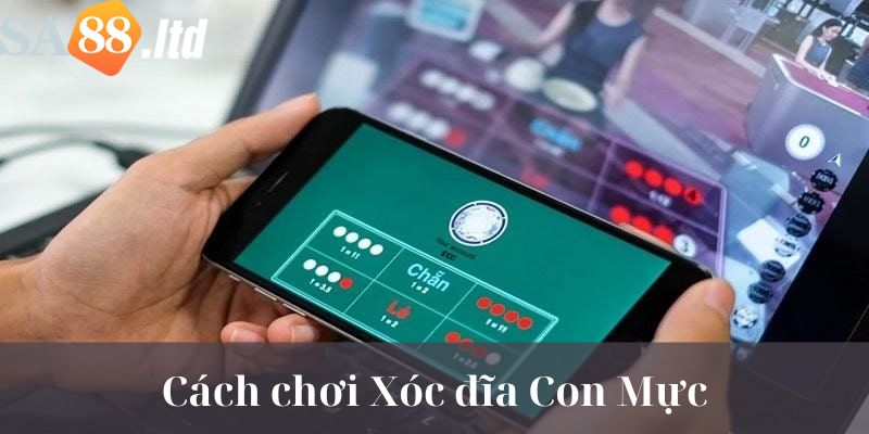 Hướng dẫn cách chơi game Xóc Dĩa Con Mực cho tân thủ 