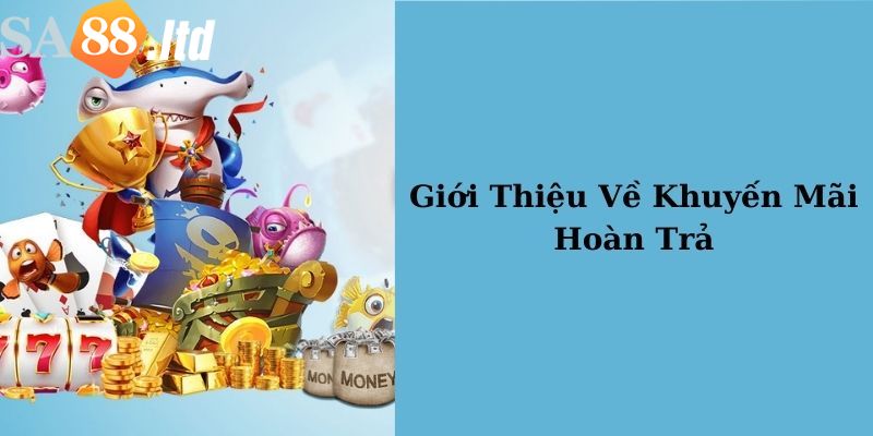 Ưu đãi hoàn trả nhà cái Sa88 là gì? 