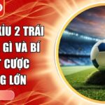 Kèo tài xỉu 2 trái SA88