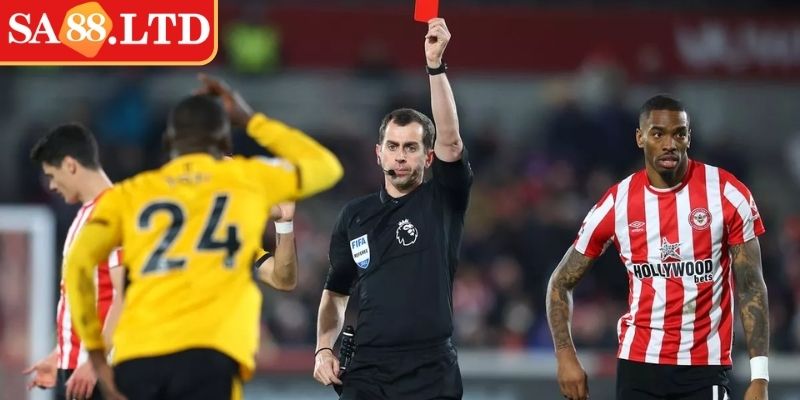 Phân loại phổ biến của kèo được yêu thích nhất