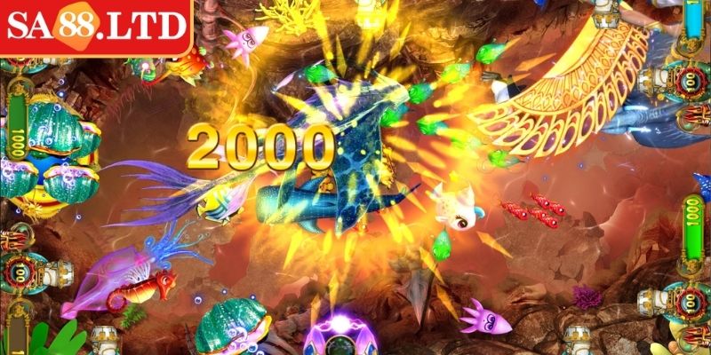 Kết hợp chiến thuật cá nhân